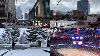 カルガリー留学🇨🇦1  Life in Calgary Vlog カルガリーにきて最初の1週間！ice hockey shopping school [upl. by Hamaso]