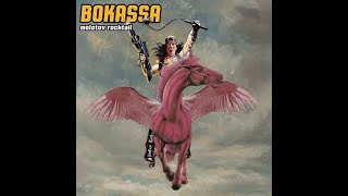 BOKASSA  Molotov Rocktail 2021 full album [upl. by Oinotnaocram927]