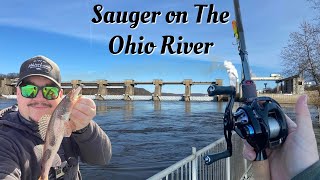 HOW TO Sauger Fishing on the Ohio River  blade baits [upl. by Zeena]