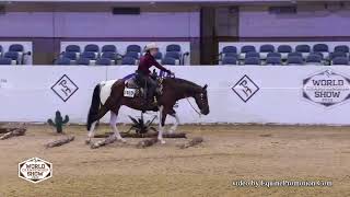 Color Me Marked 2022 APHA World  Am Ranch Trail [upl. by Walrath915]