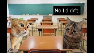 Talking cat meme cat [upl. by Draner]