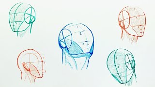 How to Easily Draw Heads  Understanding the Loomis Method [upl. by Medora765]