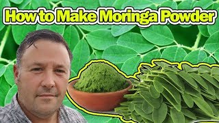 How to Make Moringa Powder  Super Healthy  Tree of Life [upl. by Elstan]