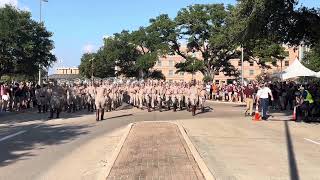 Aggie Band MarchIn 092124 BTHO Bowling Green [upl. by Yance]