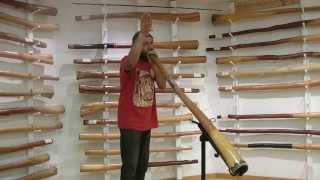 How To Imitate Animal Sounds On The Didgeridoo [upl. by Inttirb]