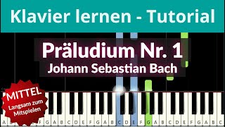 Präludium Nr 1  Üb mitmir Klavier Johann S Bach BWV 846 ♥ Piano Tutorial ♫ Felicitas Falke ♫ [upl. by Ravi]