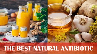 The BEST Natural Antibiotic Drink  Easy amp Powerful Homemade Remedy Formula [upl. by Mowbray]