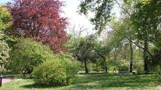 Botanischer Garten in HalleSaale SachsenAnhalt Germany [upl. by Dacey]