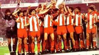 crvena zvezda red star pesma zvezdinih navijaca [upl. by Sillyrama941]