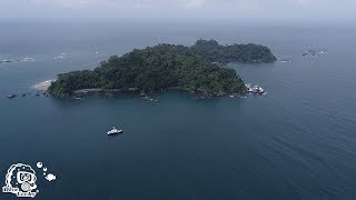 Scuba Diving  Gorgona Colombia with MV Ferox and Tauchertraum [upl. by Waite]