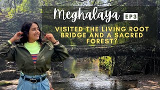 EP 3 Living Root Bridges in Meghalaya I Sacred Village I Meghalaya Travel Guide I North East India [upl. by Krahling]