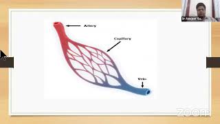 Diabetes complications  An overview [upl. by December]