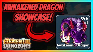 Awakened Dragon Showcase  Elemental Dungeons [upl. by Newcomer]