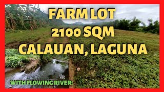 2100 Sqm Farm Lot in Calauan Laguna with Flowing River Lot Code 2209 [upl. by Nobe419]