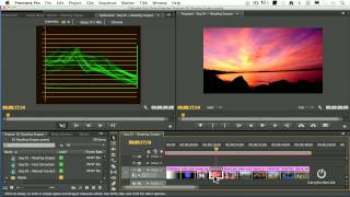 Read Scopes in Adobe Premiere Pro CS6 [upl. by Porte]