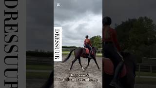 Dressuur door een S van hand veranderen horsetrainer horse equestrian horseriding paarden fy [upl. by Nevai]