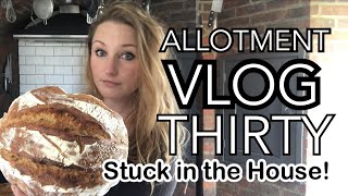 ALLOTMENT VLOG 30  Talking Vermiculite Field Beans and Borlotti Stew [upl. by Marcin]