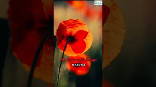 Ma Royara Ke Bhayo   BYATHA  folkmusic peacefulmusic calmingmusic oldnepalisongs [upl. by Estel]