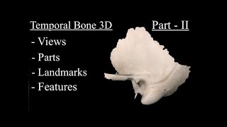 Temporal Bone Anatomy 3D Part 2 Features  Landmarks and Osteology of Tympanic Petrous amp Styloid [upl. by Iharas946]