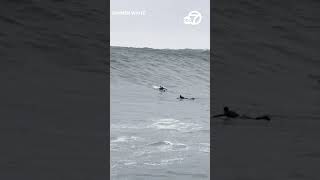 Huge waves at Mavericks Beach draw surfers from around the world [upl. by Neeloj247]