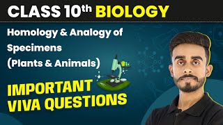 Homology amp Analogy of Specimens Plants amp Animals Important Viva Ques  Class 10 Biology Practical [upl. by Eelir]