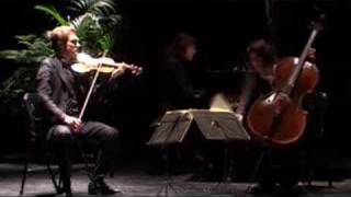 Schubert à Tautavel avec le Trio Capuçon [upl. by Theodosia]