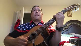 Escuche las golondrinas  de vicente fernandez cover [upl. by Ainuj]