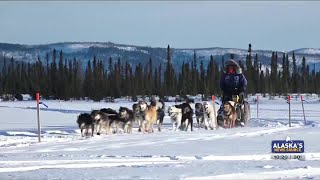 Iditarod favorites check in from Cripple [upl. by Loreen]