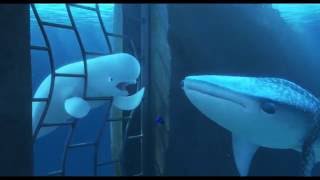 Finding Dory Scene 13  Cutscene 4 [upl. by Ria]