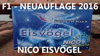 TEST Nico Eisvögel  F1Neuauflage 2016 [upl. by Amieva]