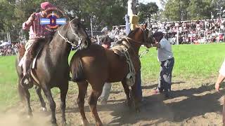 UNA COPLA EN LA LLANURA MONTA ESPECIAL KATO ZAMACONA [upl. by Finnie931]