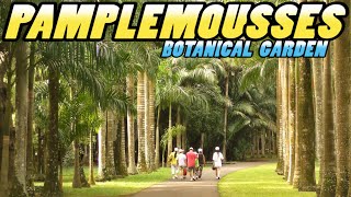 Pamplemousses Botanical Garden  Mauritius 4k [upl. by Westfall]