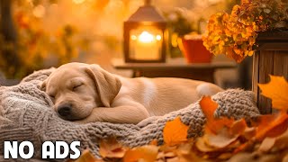 12 Hours Dog Calming Music For Dog 💖 Stress Relief Music Relaxing Sleep Music 💖dog music no ads [upl. by Padegs]