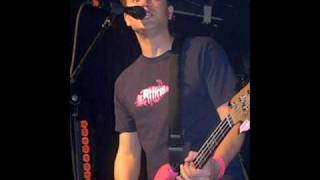 Blink182 Live at Reading 2003 Part 7  The Country Song DAMMIT [upl. by Eenalem]