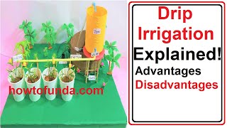 drip irrigation model explainedadvantages and disadvantages  howtofunda [upl. by Gerick885]