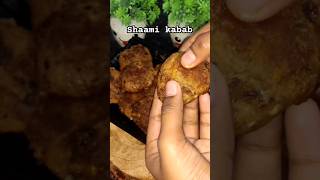 Shaami kabab recipe  itne maje ke kabab kya aapne try kiya  viralvideo food recipe [upl. by Laen137]