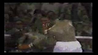 Larry Holmes vs Leon Spinks postfight scuffle with Cooney [upl. by Yrellam]