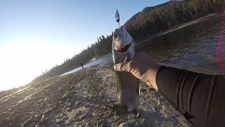 Trout Fishing at Bass Lake [upl. by Enirtak]