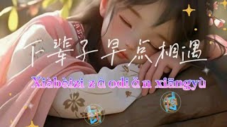 XIA BEI ZI ZAO DIAN XIANG YU  下辈子早点相遇 pinyin lyrics tz88 [upl. by Anivek]