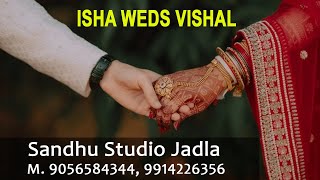 🔴LIVE BY SANDHU STUDIO JADLA  WEDDING CEREMONY OF ISHA weds VISHAL  M 9056584344 [upl. by Notreve]