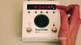 Eventide H9チュートリアル Vol4 レベルの設定 [upl. by Anitsenre]