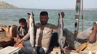 Charna fishing  sunehra to charna island  catch barracuda  charna 2023 [upl. by Anneres991]