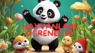 Hayvanları Öğrenelim  Çocuk Şarkıları [upl. by Suiramad797]