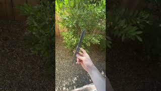 A Little Sentinel Clip balisongknives balisongtricks tricks balisong knifeskills knifetricks [upl. by Edla]