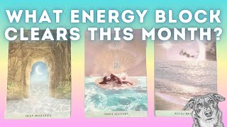 What energy block will clear this month 🐾🐕💞 Pick a Card 🎴♥️ Timeless Tarot Card Reading ❤️ [upl. by Borrell]