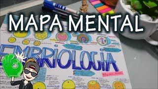 📷📚✏️ Mapa Mental  Biologia  EsTuDaNdO e FaZeNdO aRtE study  mindmaps [upl. by Lothar]