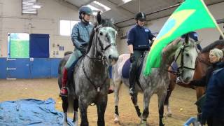 Metropolitan Mounted Police training [upl. by Akaya63]