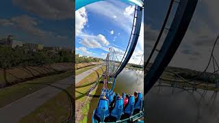 Mako at SeaWorld Orlando [upl. by Elisabet]