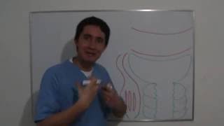 FILTRACIÓN GLOMERULAR Curso Completo Ver Descripción [upl. by Ellenrahc]