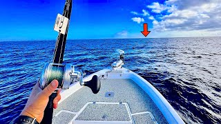 Fishing SOLO Offshore in the Gulf of Mexico for my DINNER Delicious Catch Clean Cook [upl. by Ardni]